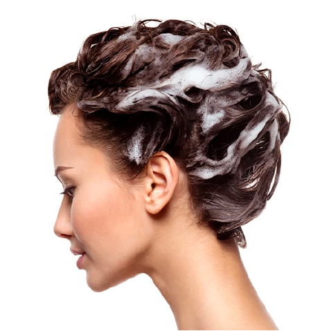 Shampoo &amp; Conditioner