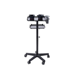 Professional Hair Coloring Trolley with Two Trays for Salon Spa - al basel cosmetics
