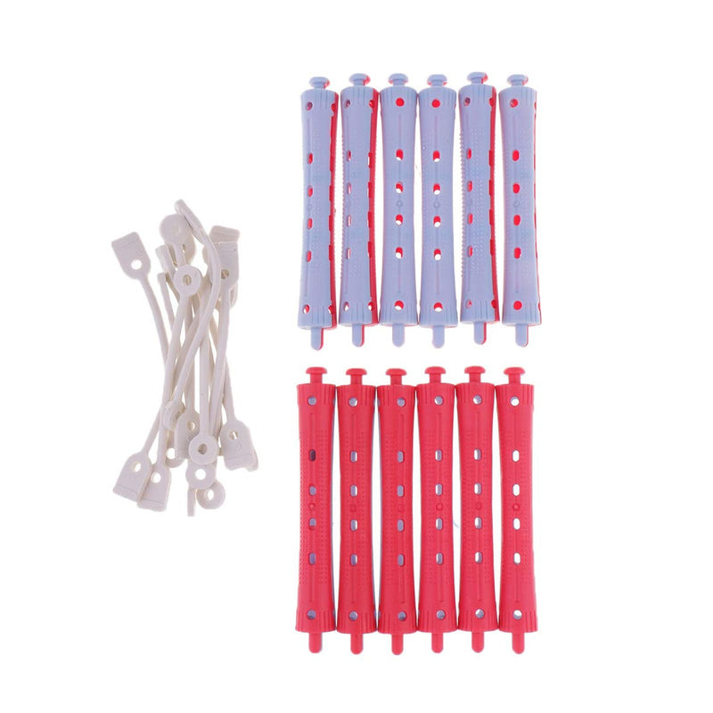 Plastic Rollers for Hair Curling 12 pcs (PC 951) - al basel cosmetics